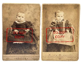 Antique Victorian Cabinet Card Photo Portrait Two Babies Children 1880s Chicago