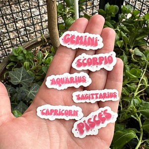 以下が含まれることがあります： 手には、双子座、蠍座、水瓶座、射手座、山羊座、魚座の星座名が書かれた白とピンクのステッカーがいくつかあります。ステッカーはバブルレターフォントです。