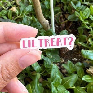 May include: A white sticker with pink lettering that says "Lil Treat?" The sticker is being held by a hand in front of a potted plant with green leaves.