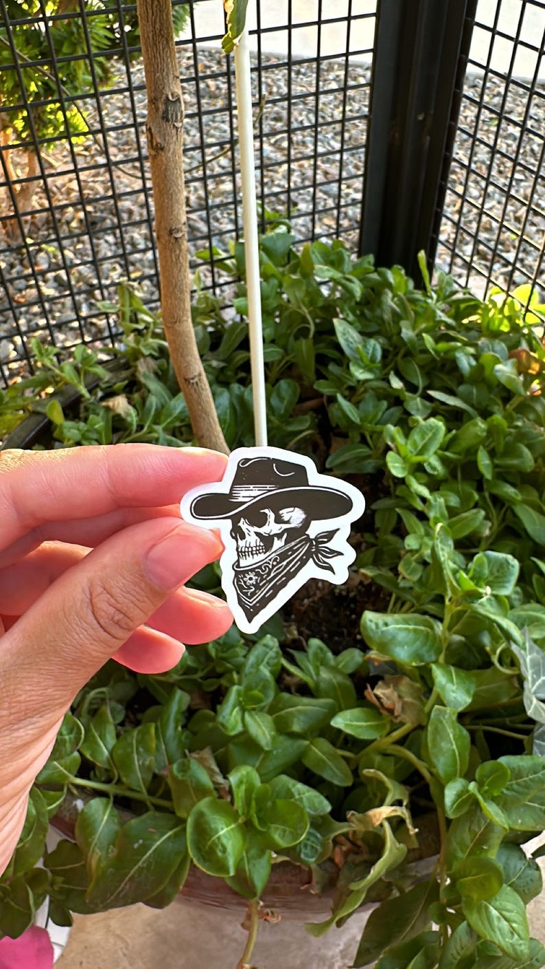 Pode incluir: Um autocolante a preto e branco com uma caveira a usar um chap&eacute;u de cowboy e uma bandana. O autocolante &eacute; segurado em frente a um fundo de plantas verdes e uma cerca de metal preta.