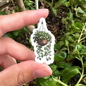 Puede incluir: Una pegatina con una ilustración dibujada a mano de una planta colgante con hojas verdes en una maceta marrón.