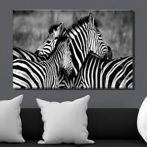Zebra Canvas Painting,Black and White Zebra Photography Prints,Zebra Canvas Poster,Canvas Wall Art,Animal Canvas,Wall Decor75i