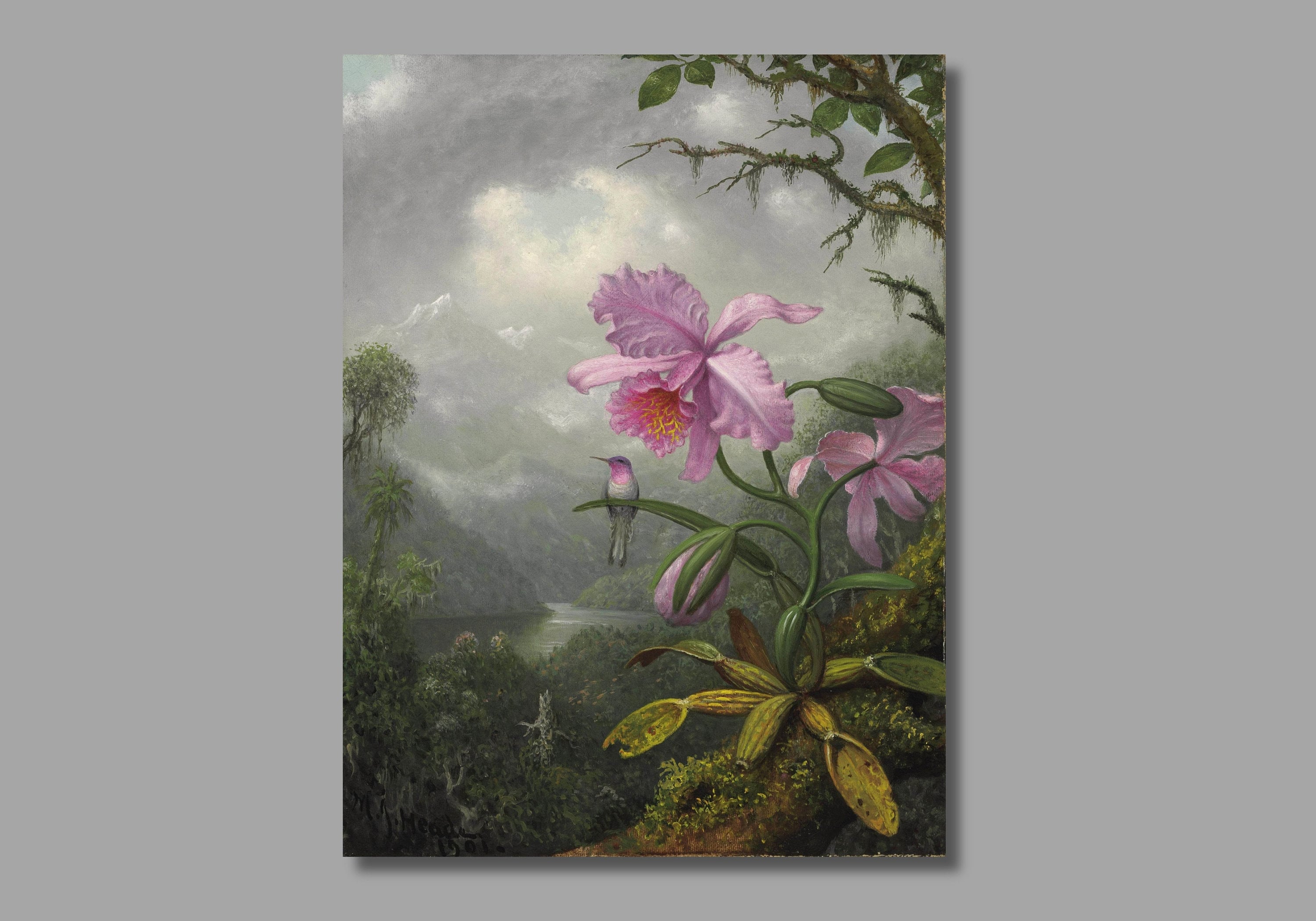 Martin Johnson Heade Hummingbird Perched on the Orchid Art Print, Martin Johnson Heade Canvas Wall Art,Canvas Print, Home Wall Decor3