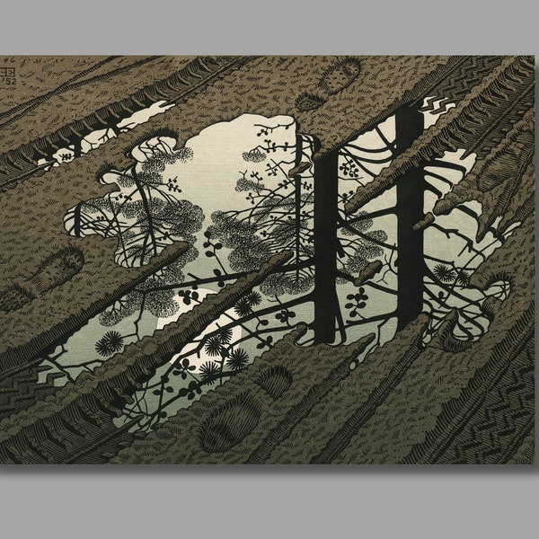 M.C. Escher Puddle Art Print,Surrealist Canvas Poster, Fantasy Print, Maurits Cornelis Escher Canvas Wall Art, Vintage Escher art4