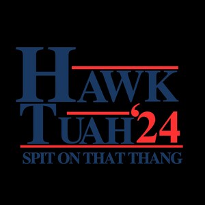 Hawk tuah png