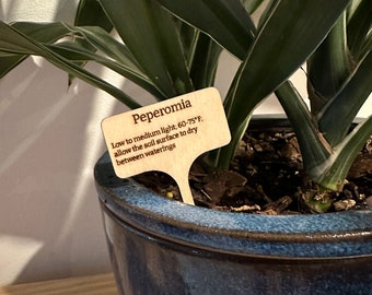 House Plant label with care instructions