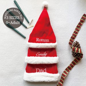 Chapéus de Papai Noel bordados personalizados, chapéus de Natal personalizados, chapéus combinando para a família, chapéu de Papai Noel exclusivo, traje de Natal, presente de Natal
