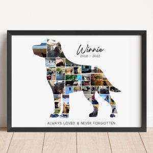 Personalizable Dog Memorial Photo Collage Picture, Pet Loss Gift, Pet Memorial Gift, Pet Remembrance Photo, Dog Memorial, Pet Sympathy Gift