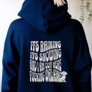Funny Dog Walking Hooded Sweatshirt, Energetic Dogs Apparel, Dog Walker, Unisex Hoodie, Dog Lover Hoodie. Gift for Dog Mom, Dog Dad Gift,