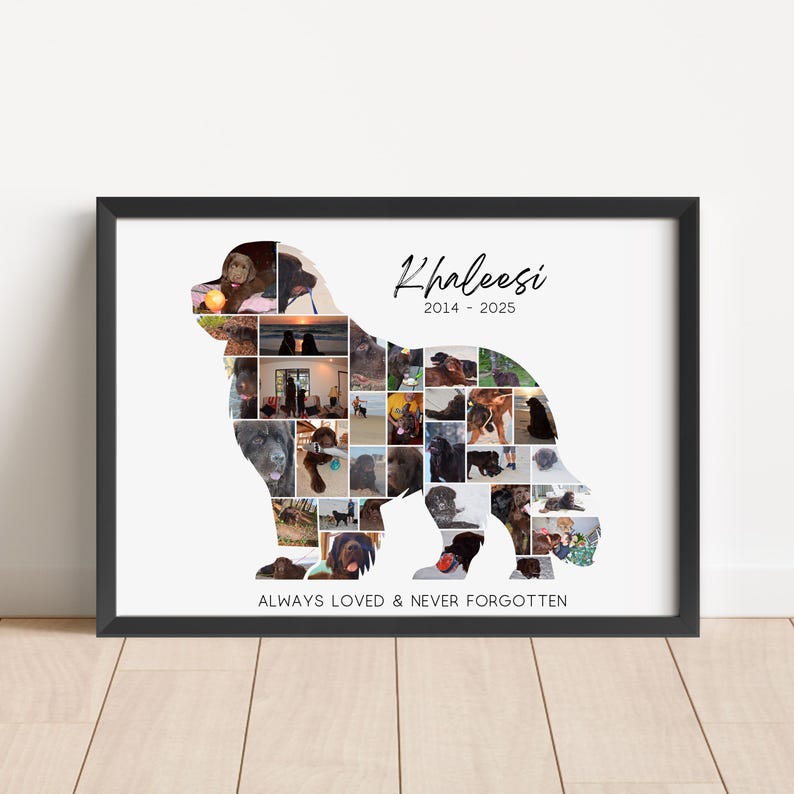 Tarro Conmemorativo De Urna Para Mascotas Para Cenizas De Perros Y Gatos Recuerdo De Aleacion De Aluminio Sellado Tapa De Rosca Segura Acabado Negro Contenedor Funerario Decorativo Pequeno