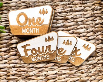 Wooden Baby Milestone Discs, National Park Theme, Newborn to 12 Months