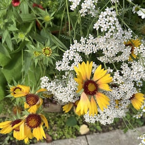 May include: A close-up of a bouquet of yellow and red wildflowers with white flowers in the background. The flowers are arranged in a vase and are surrounded by green leaves.