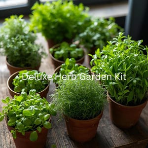 May include: An assortment of potted herbs, such as basil, rosemary, and thyme, displayed on a wooden surface. The image shows various green herbs in terracotta pots, with the text "Deluxe Herb Garden Kit" visible.