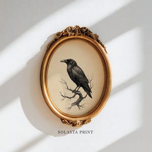May include: An oval gold frame containing a print of a black raven perched on a bare, gnarled branch against a cream-colored background. The frame features ornate, decorative scrollwork at the top and bottom. The text SOLASTA PRINT is visible.
