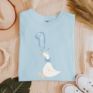 Silly Goose Birthday Shirt, Comfort Colors Tee, 1st Birthday Shirt, Silly Goose Shirt, Birthday Gift for Her, Aesthetic Birthday Goose