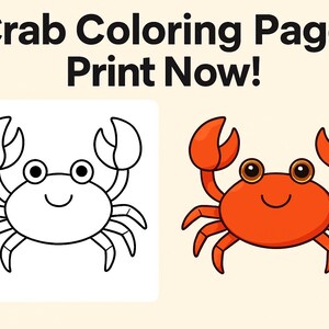 Página para colorear de cangrejo, página para colorear imprimible, dibujos para colorear para niños, descarga instantánea, PDF para colorear, animal marino, cangrejo lindo, libro para colorear, actividad