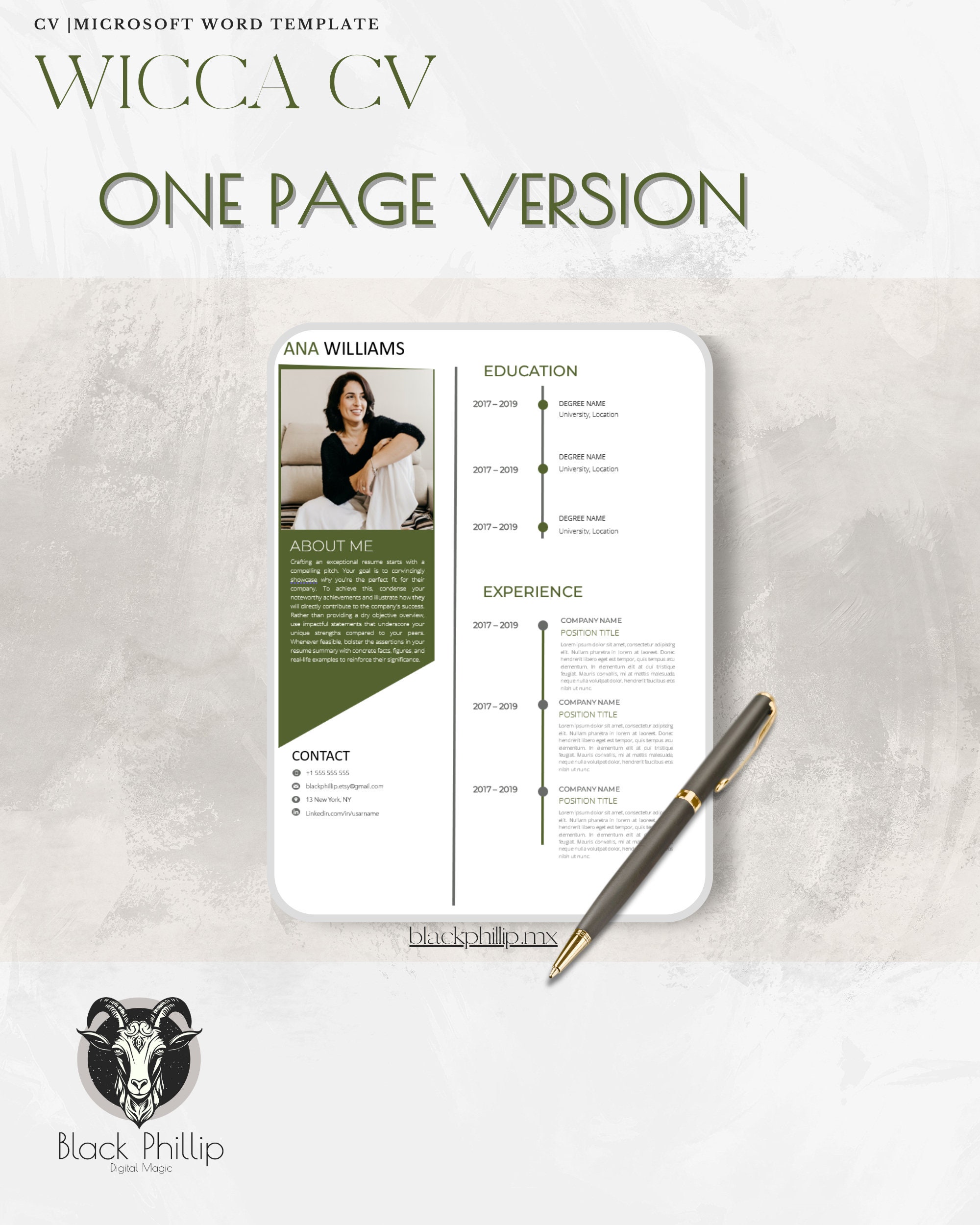 Pofessional CV Template for MS Word, Pages & Google Docs - Etsy