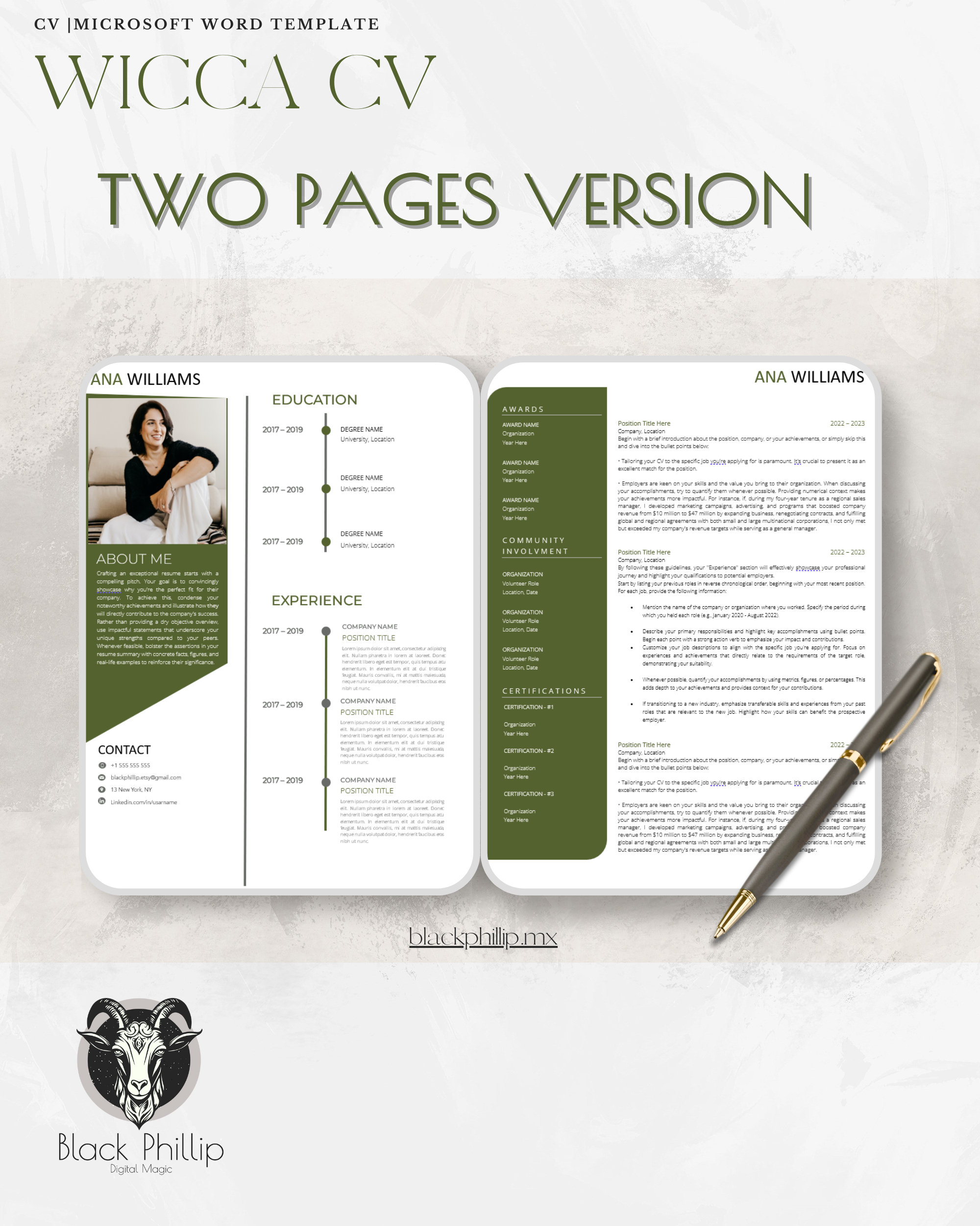 Pofessional CV Template for MS Word, Pages & Google Docs - Etsy