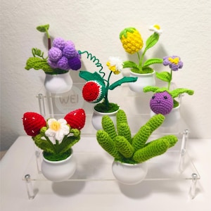 FRUTA en maceta a crochet, BERENJENA/Uva/Sandía/Piña/Fresa amigurumi, SUCULENTA/Cactus a crochet, Regalo de inauguración