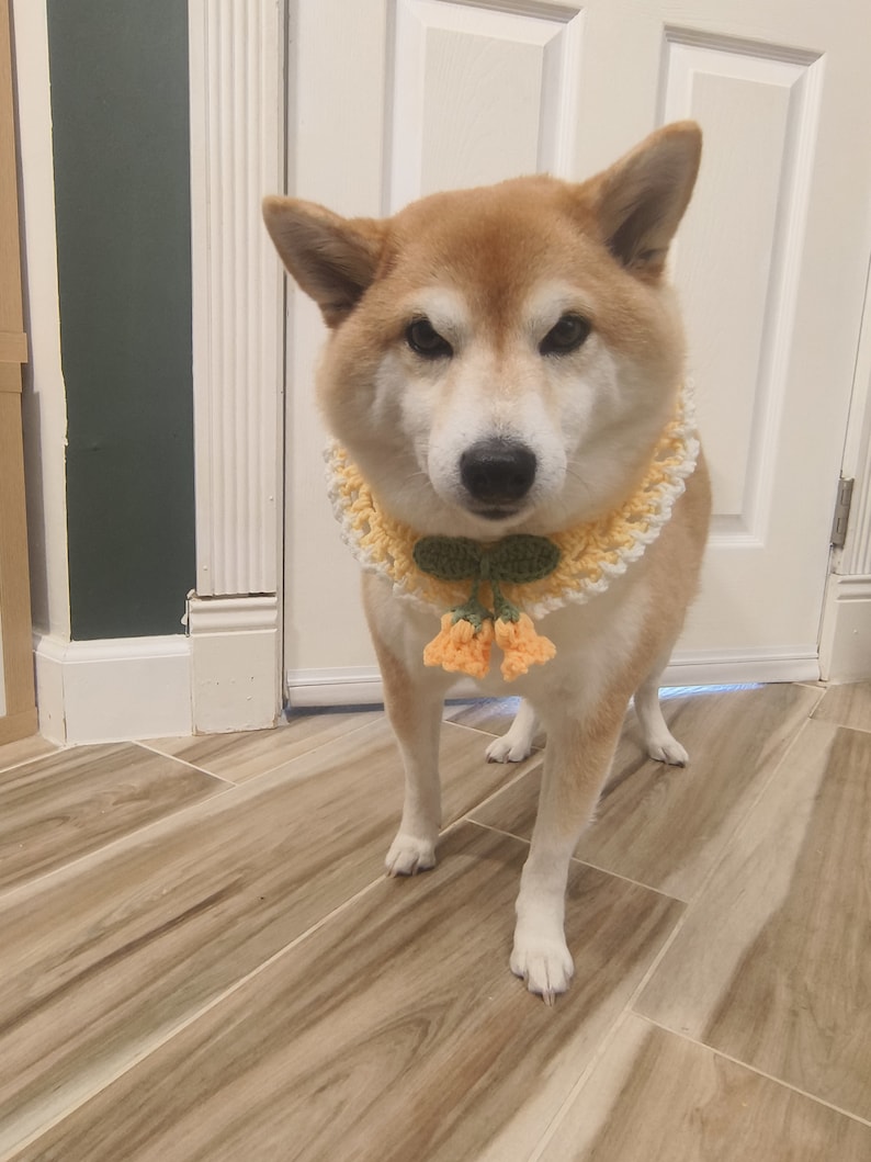 Cute Crochet LILY of the VALLEY Pet Collar, TULIPS Cat Neckwear, Dog