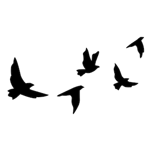 Könnte beinhalten: Silhouette von fünf schwarzen Vögeln, die in verschiedene Richtungen fliegen, vor einem weißen Hintergrund.