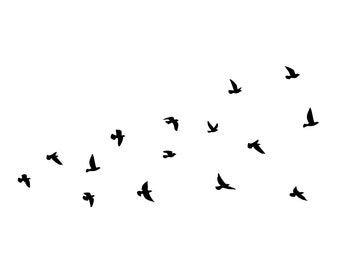 Birds Flying | Graphic Design | Black & White Digital Download | PNG, JPG, SVG, eps, dxf