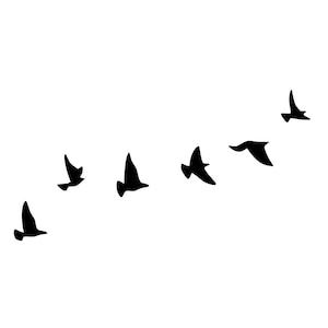May include: Silhouette of a flock of birds flying in formation against a white background.