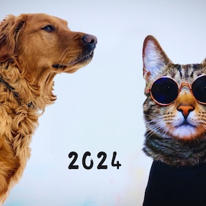 Calendrier médiéval 2024 avec chats médiévaux bizarres, calendrier mural  2024 amusant pour le bureau, la maison