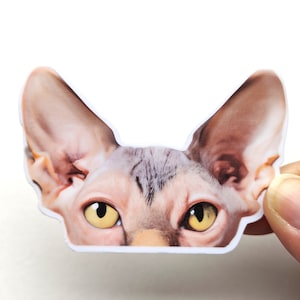 Sphynx Cat Aufkleber, Geschenk für Sphynx Cat Mom, Geschenk für Sphynx-Liebhaber, Stocking Stuffer für Katzenliebhaber