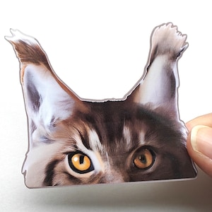 Autocollant de chat Maine Coon, cadeau pour maman chat Maine Coon, cadeau pour amoureux du Maine Coon, rembourrage de bas pour amoureux des chats, autocollants Kitty