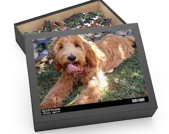 Pode incluir: Um quebra-cabeça de 8x10 de 120 peças com um cão castanho e branco com a língua de fora. O cão está deitado num leito de relva verde com algumas folhas castanhas espalhadas à sua volta. A caixa do quebra-cabeça é cinzenta com o texto "8x10 Puzzle 120 pcs Ages 9+" impresso na frente.