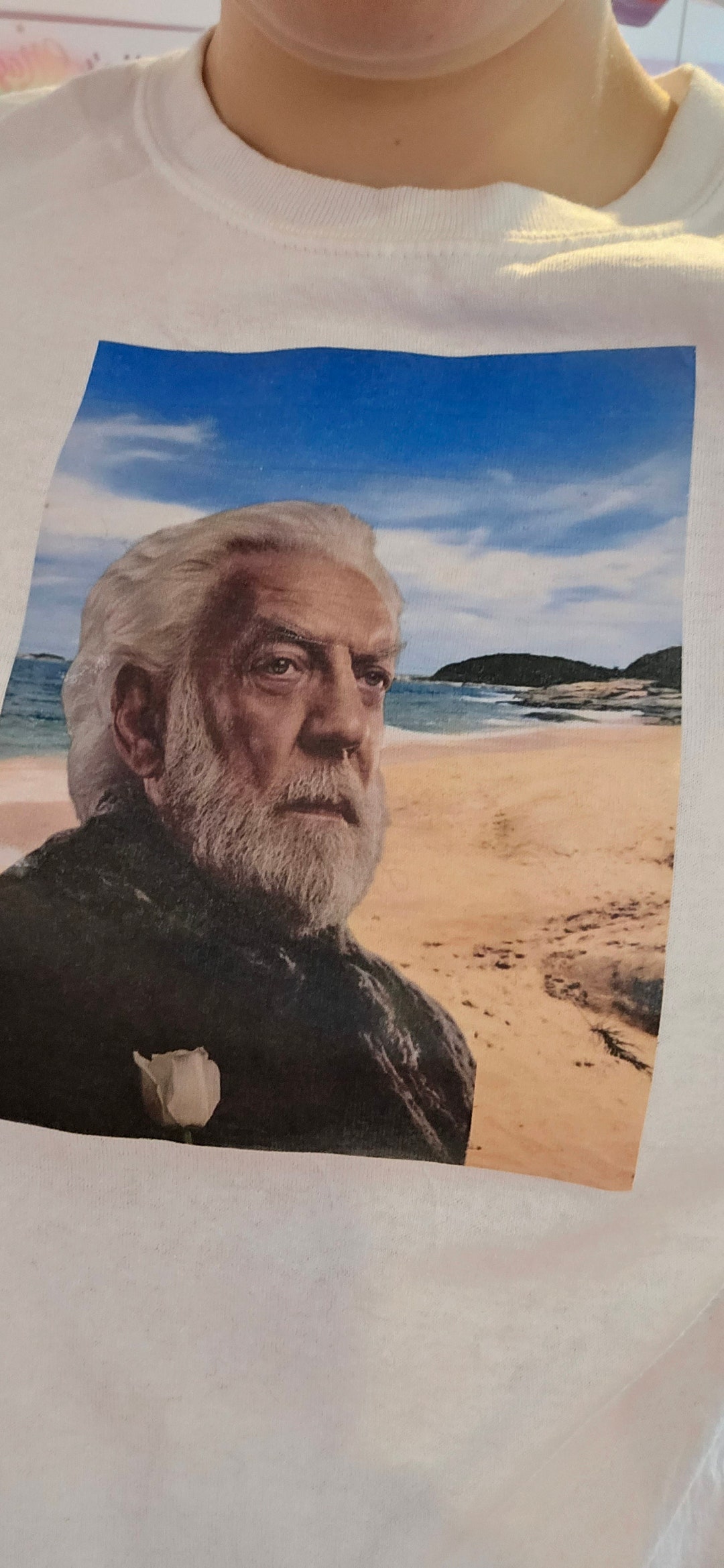 Hunger Games President Snow Taylor Swift Tshirt snow on Etsy