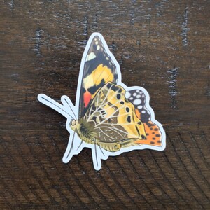 Butterfly Sticker - Painted Lady Sticker | Waterproof Sticker | Laptop Sticker | Water Bottle Sticker
