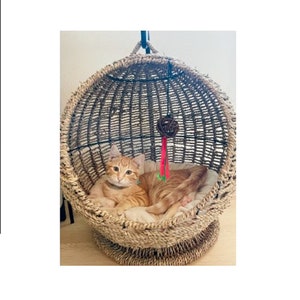 Cat Hammock Wicker Basket Bed Nest Dog Bed Rattan image 4