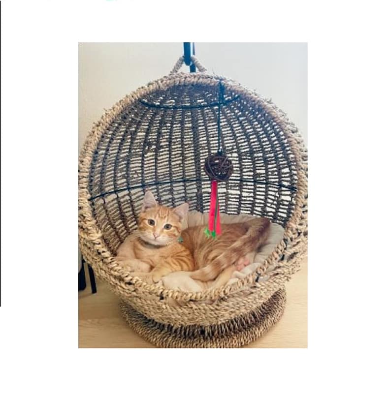 Cat Hammock Wicker Basket Bed Nest Dog Bed Rattan image 4
