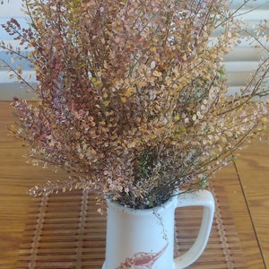 May include: A white ceramic pitcher with a handle, decorated with a seashell design, holds a bouquet of dried, multi-colored foliage. The foliage has small, round leaves in shades of brown, yellow, and purple. The pitcher sits on a wooden surface.