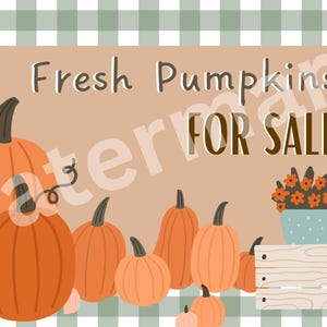 Pode incluir: Uma placa com o texto "Fresh Pumpkins FOR SALE" apresenta uma coleção de abóboras laranjas e uma abóbora branca com um padrão de pontos. Um pequeno vaso azul com flores laranjas também está incluído.