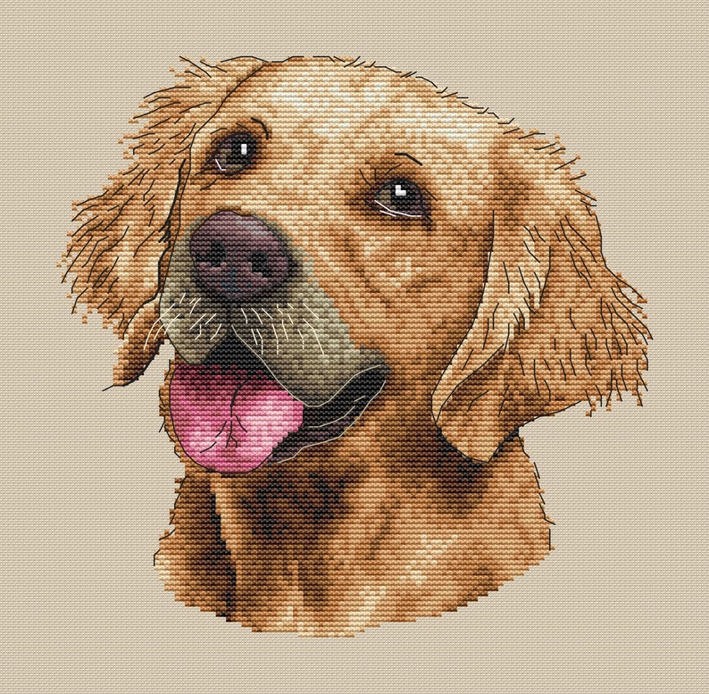 Golden Retriever Cross Stitch Pattern Dog Cross Stitch Tutorial Pet