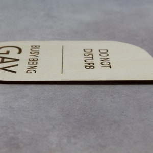 CENWA 2 Pezzi Cartello Porta 'Do Not Disturb - Busy Being Gay' - Appendino In Plastica Morbida 28x10cm Per Matrimonio, Regalo Queer - 3