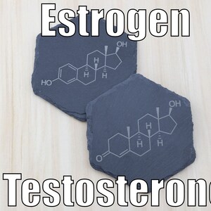 Posavasos de piedra de estrógeno o testosterona / transgénero transgénero de inauguración de la casa que sale orgullo regalo gay de cumpleaños