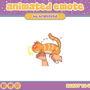 Geanimeerde emote | emote kattengeweer | grappige emote | emote streamen | meme kat emote | meme-emote