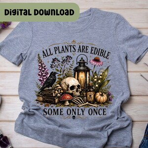 Puede incluir: Una camiseta gris jaspeado con un estampado gr&aacute;fico de un cr&aacute;neo humano, un cuervo negro, una linterna antigua, una botella peque&ntilde;a con la etiqueta poison, una calabaza y varias plantas. El texto dice ALL PLANTS ARE EDIBLE SOME ONLY ONCE.