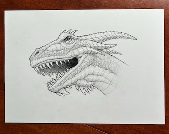 Dragon's Head Video: Pencil Drawing