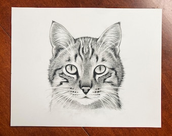 How to Draw a Cat: Graphite Original