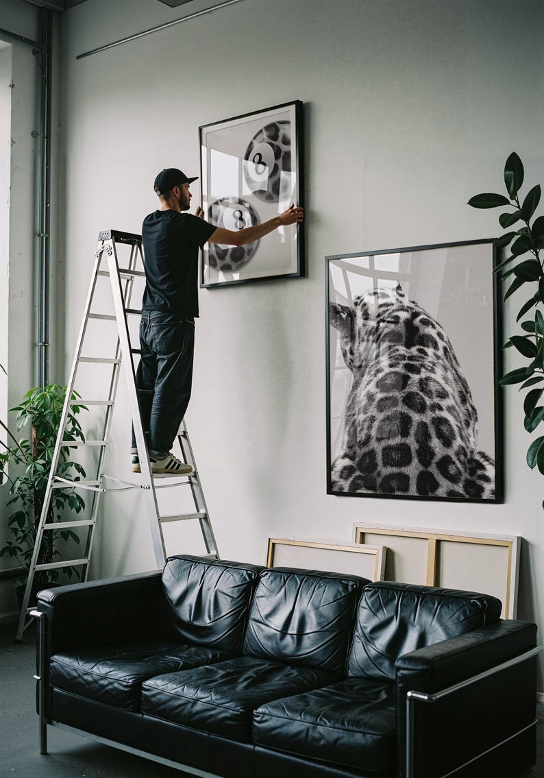 May include: A person on a ladder hanging framed art. The art includes a black and white image of a leopard's back and a framed print with three pool balls. A black leather couch is in the foreground.