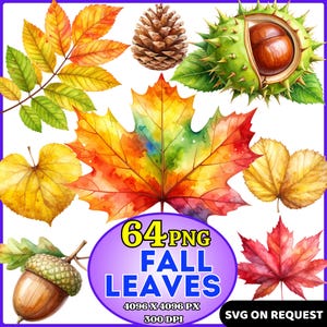 Könnte beinhalten: Aquarellillustrationen von Herbstlaub in Rot-, Orange-, Gelb- und Grüntönen. Auch ein Tannenzapfen, eine Eichel und eine Kastanie sind abgebildet. Der Text lautet "64 PNG FALL LEAVES" und "SVG ON REQUEST".