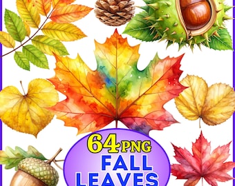 Conjunto de imágenes prediseñadas de hojas de otoño: 64 ilustraciones botánicas de herbario otoñal en acuarela. Hojas vectoriales PNG SVG con fondo transparente para imprimir.