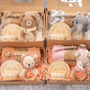 Baby Shower Gift Box, Newborn Gift Box with Animal Rattle, Baby Rattle Set, Welcome Box Baby, Newborn Gift Set, Baby Gift Box, New Baby Gift