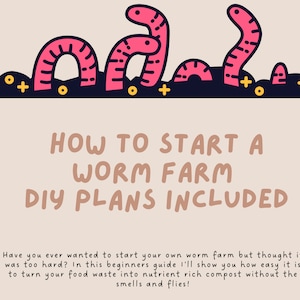 How To Start A Worm Farm | DIY Plans Included
