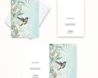 Calliope Hummingbird Greeting Card: Wildlife Photography Notecard